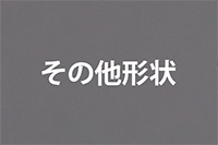 特殊型